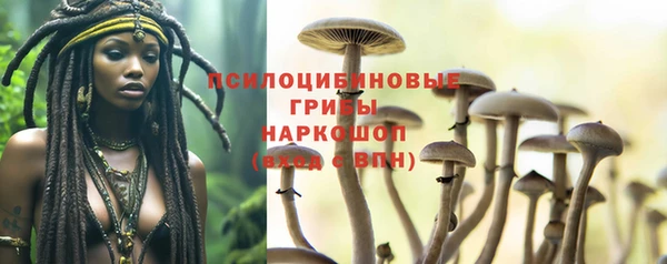 ешки Дмитриев
