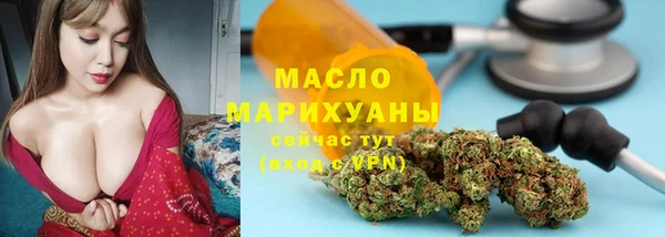 спайс Ельня