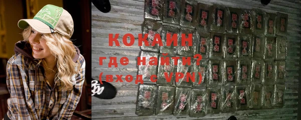 ешки Дмитриев