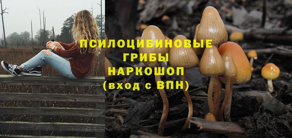 ешки Дмитриев