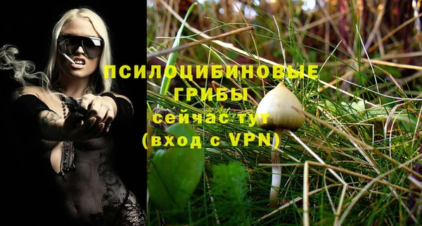 прущая мука Дмитров